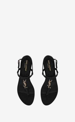 YSL Cassandra Sandals In Crocodile-embossed Leder Schwarz | 45271-QTXZ