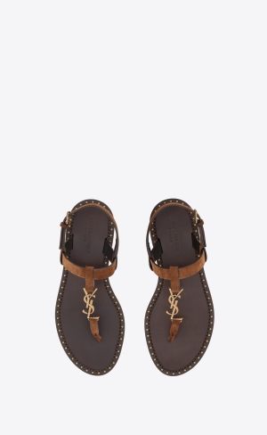YSL Cassandra Sandals In Wildleder Land | 85139-KITQ